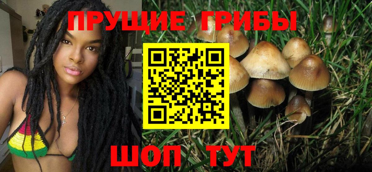 Галлюциногенные грибы Cubensis Арзамас