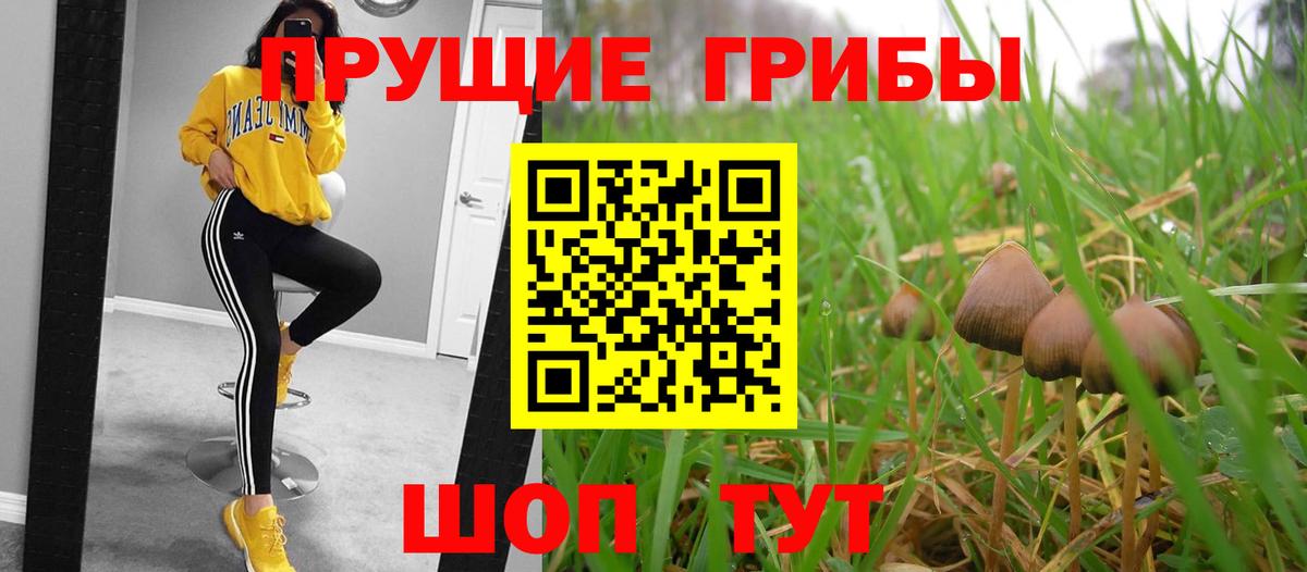 Псилоцибиновые грибы мицелий  Вход с VPN  Арзамас 